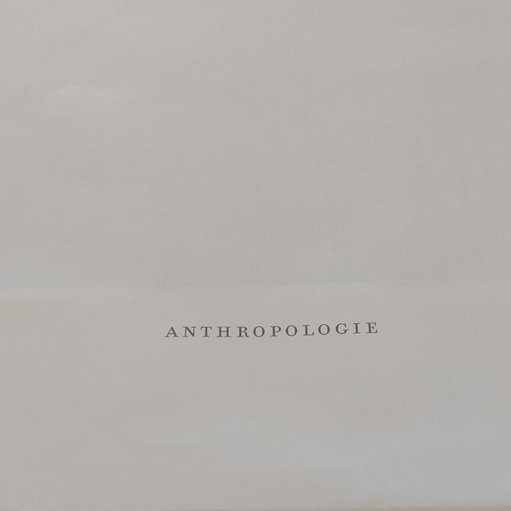 Anthropologie Cream Paper Shopping Bag.Used Condition .